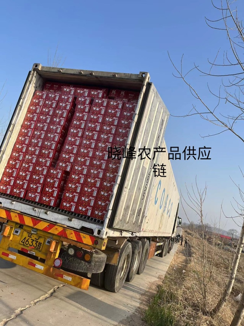 （精选）普罗旺斯西红柿支持落地配，全国一件代发