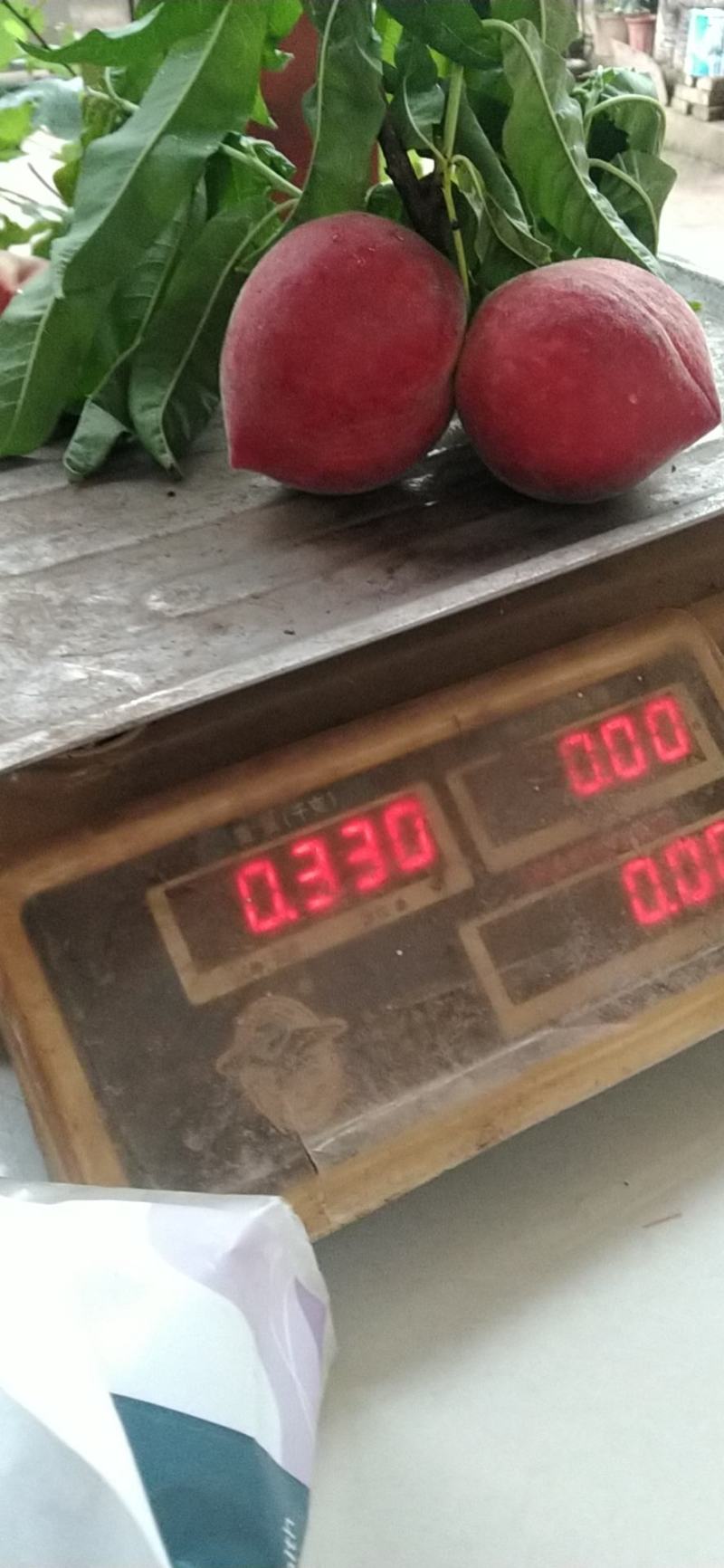 胭脂脆