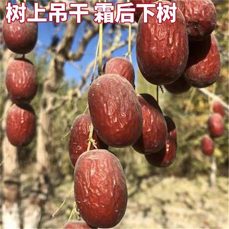 包邮特价批发新疆若羌特产原生态一级土灰枣核小肉厚一件代发