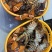 冰鲜波士顿龙虾，有量有价，保证质量靓货！