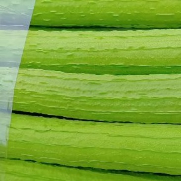 丝瓜