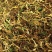 金银花山银花野生手工采摘太阳晒烘干