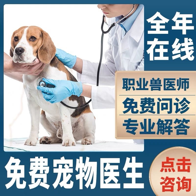 纯种拉布拉多幼犬小中大型宠物真物狗狗家养神犬小七训练