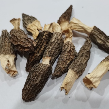 羊肚菌干货，新鲜羊肚菌酒店专用小个头头岔货，干净