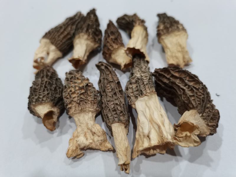 羊肚菌干货，新鲜羊肚菌酒店专用小个头头岔货，干净