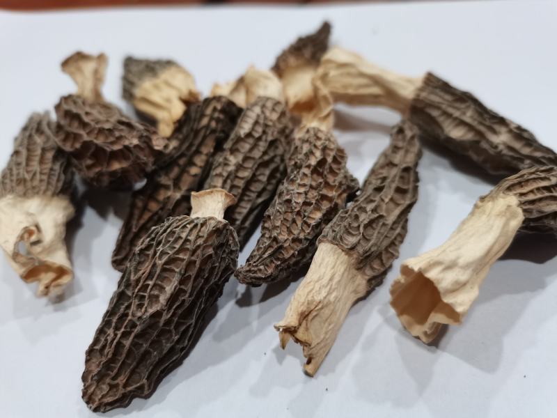 羊肚菌干货，新鲜羊肚菌酒店专用小个头头岔货，干净