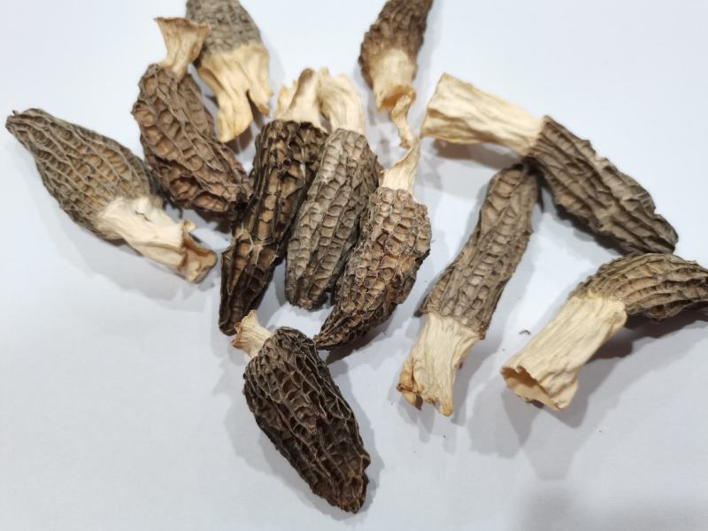 羊肚菌干货，新鲜羊肚菌酒店专用小个头头岔货，干净