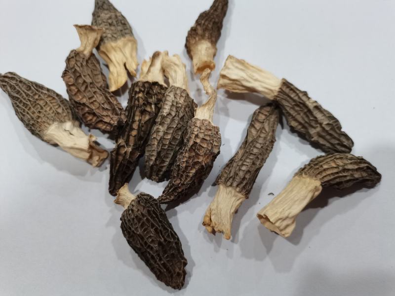 羊肚菌干货，新鲜羊肚菌酒店专用小个头头岔货，干净