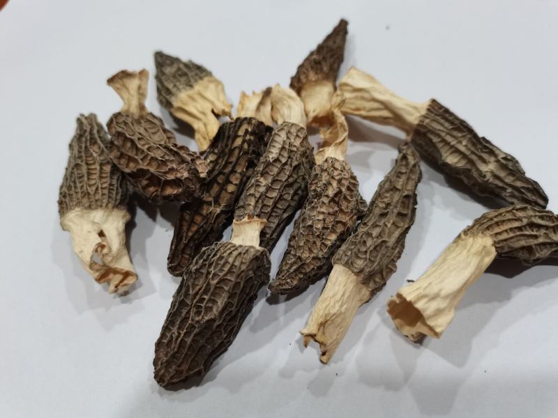 羊肚菌干货，新鲜羊肚菌酒店专用小个头头岔货，干净