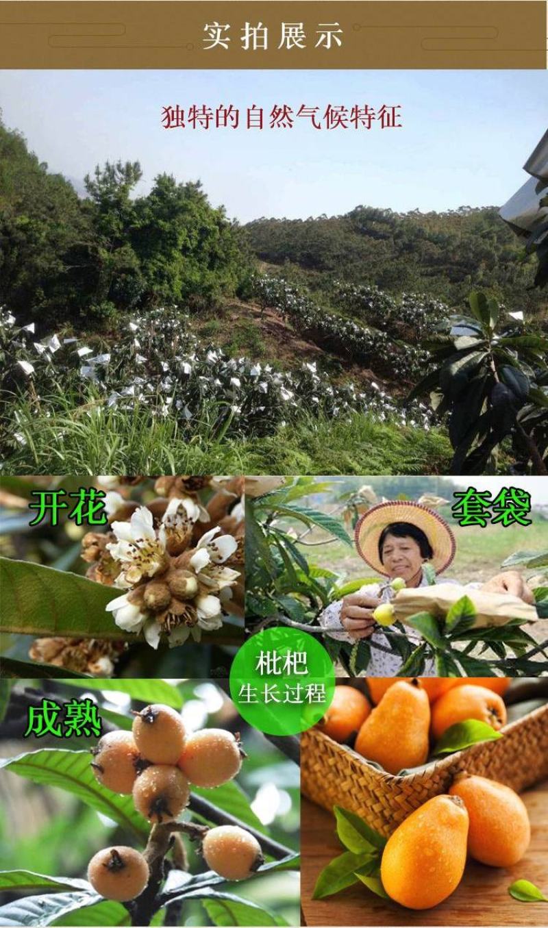 我觉得还是自己熬的枇杷膏够正，自制农家纯手工古法熬制