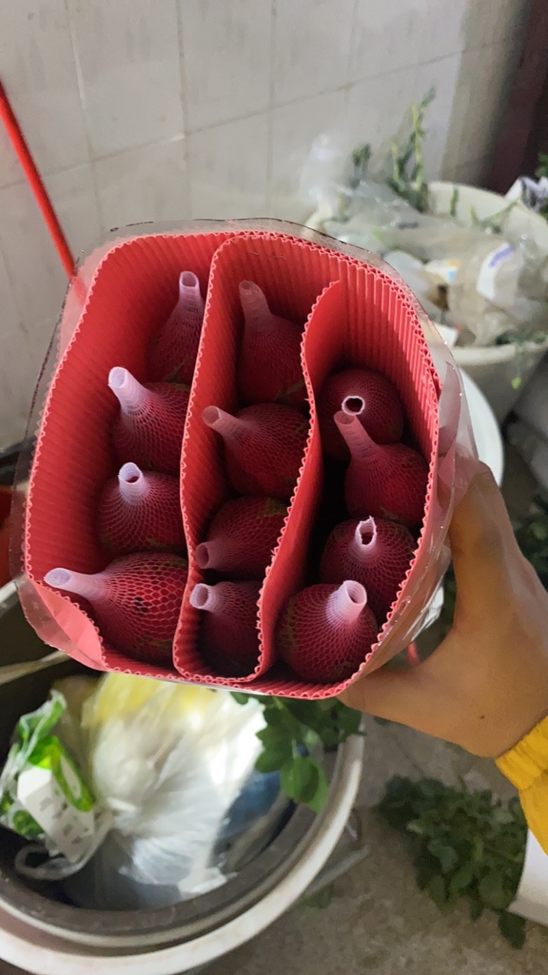 卡罗拉玫瑰，云南昆明斗南基地直销，鲜切花，鲜花
