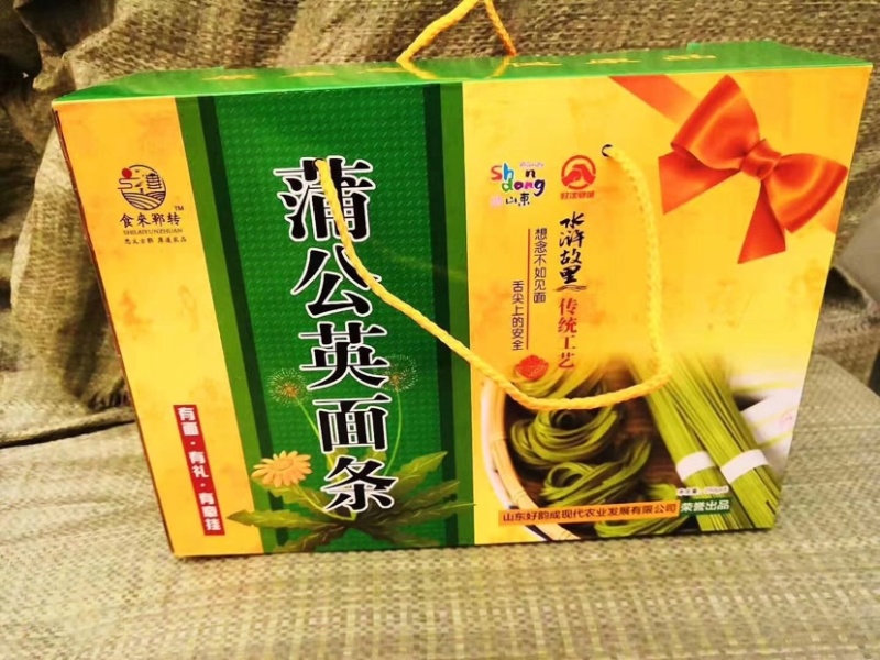 蒲公英巨型蒲公英大叶蒲公英蒲公英茶种子根苗