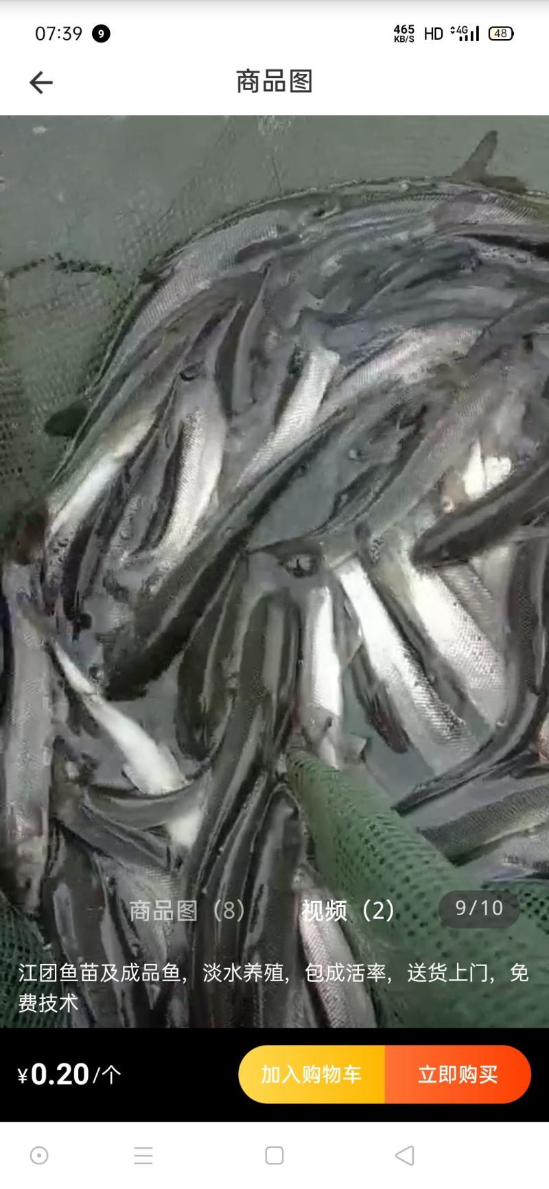 重庆潼南淡水养殖场优良品种欢迎各位老板光临