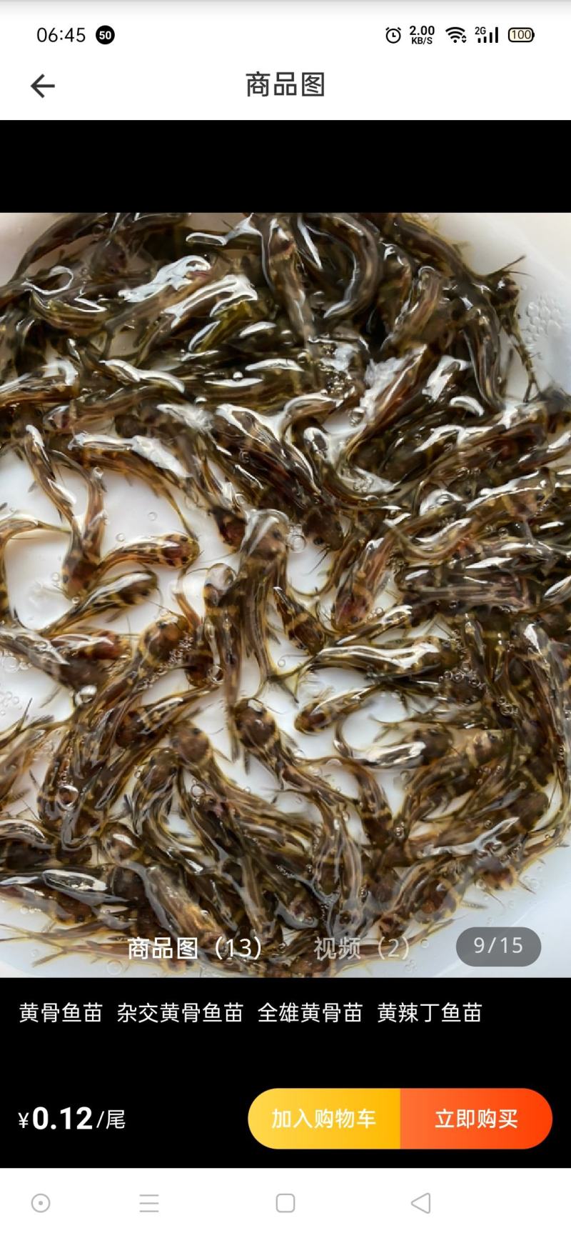 重庆潼南淡水养殖场优良品种欢迎各位老板光临