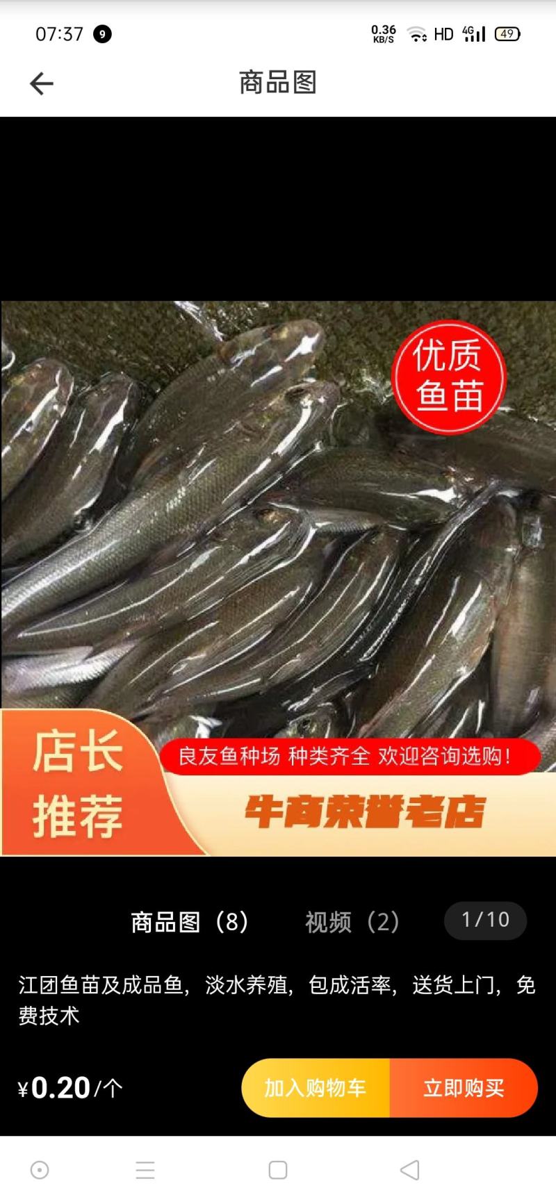 重庆潼南淡水养殖场优良品种欢迎各位老板光临