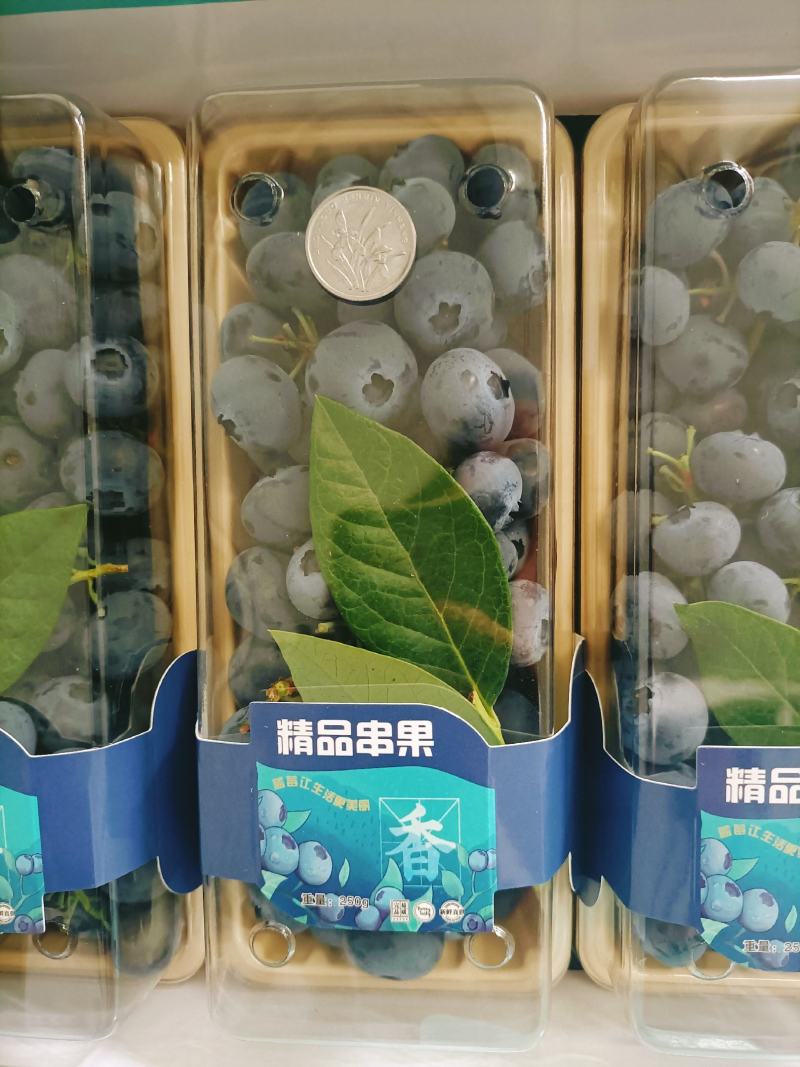 串果蓝莓高端
