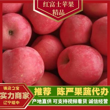 【热卖】辽宁绥中红富士苹果个大皮毛亮颜色全红口感脆甜发全国