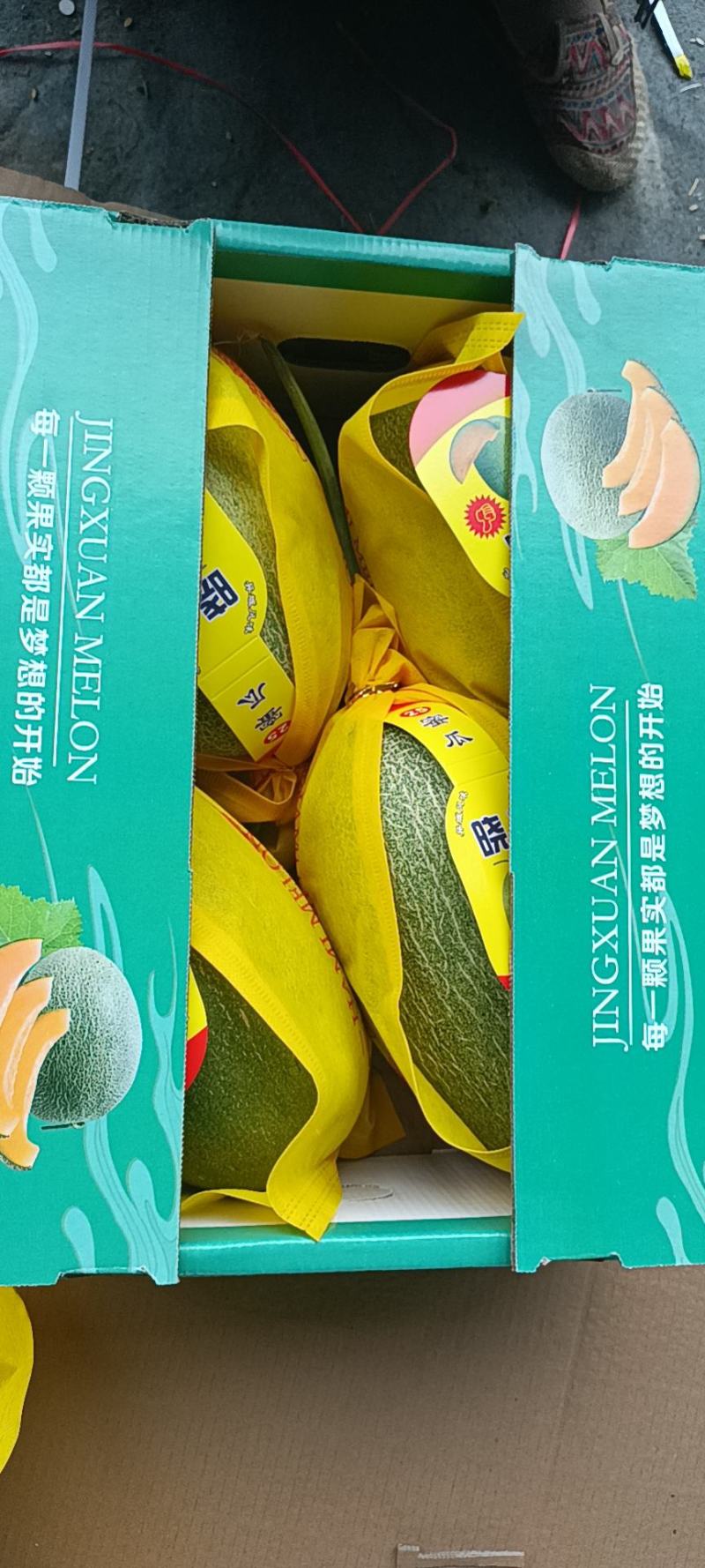 晓蜜25哈密瓜大量供应保质保量对接全国客商可视频验货可咨