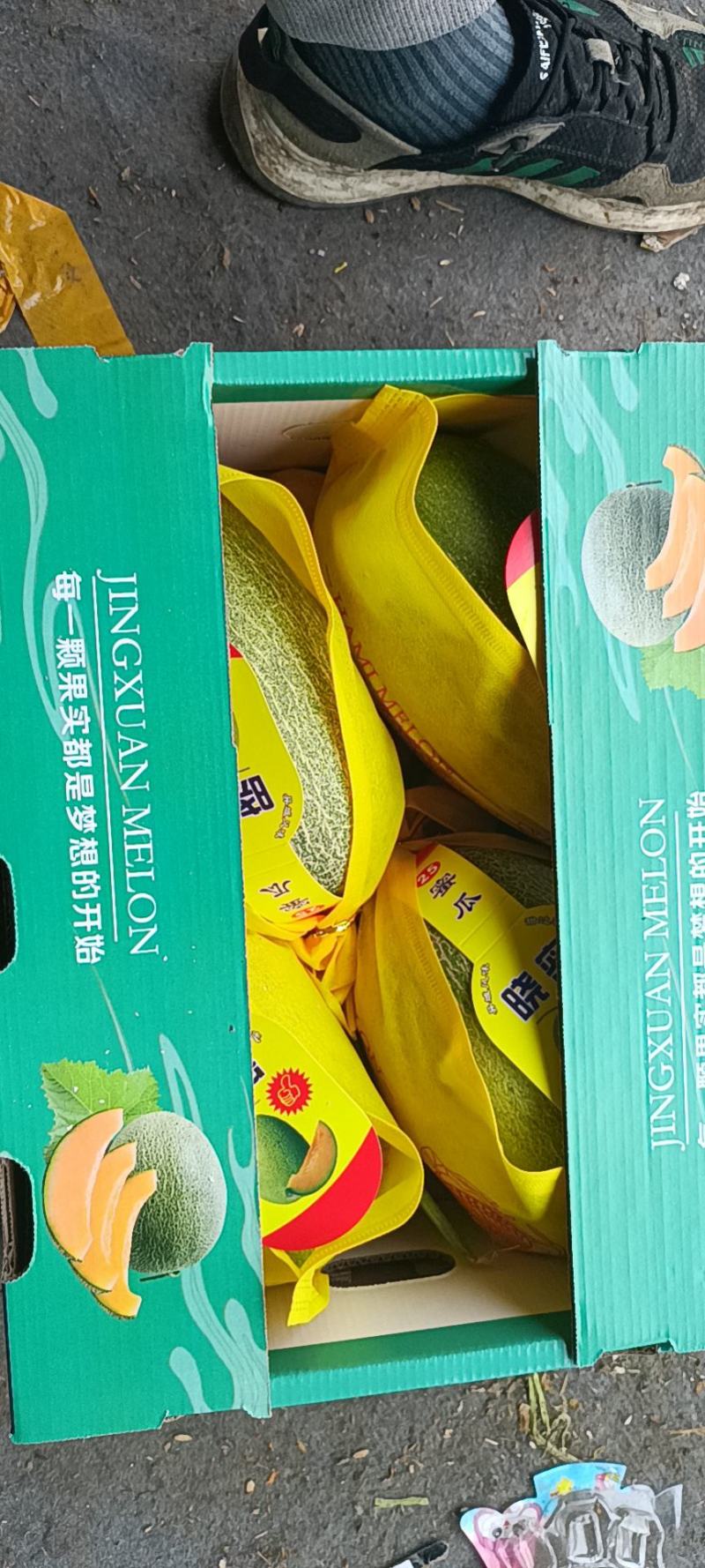 晓蜜25哈密瓜大量供应保质保量对接全国客商可视频验货可咨