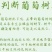 【带土带叶发货】葡萄树苗盆栽地阳台栽庭院南北方种植当年结