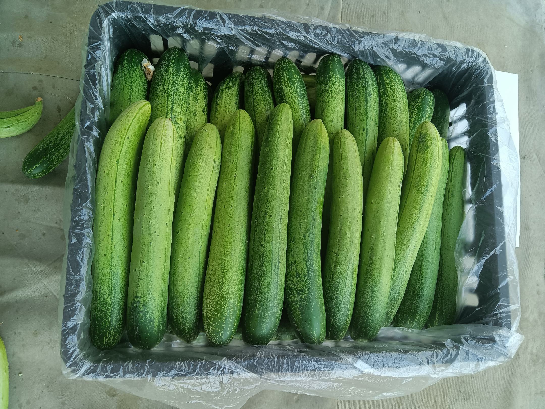 一位主妇正在打开冰箱，从保鲜抽屉中取出装有黄色菠萝块的密封盒，脸上带着满意的微笑