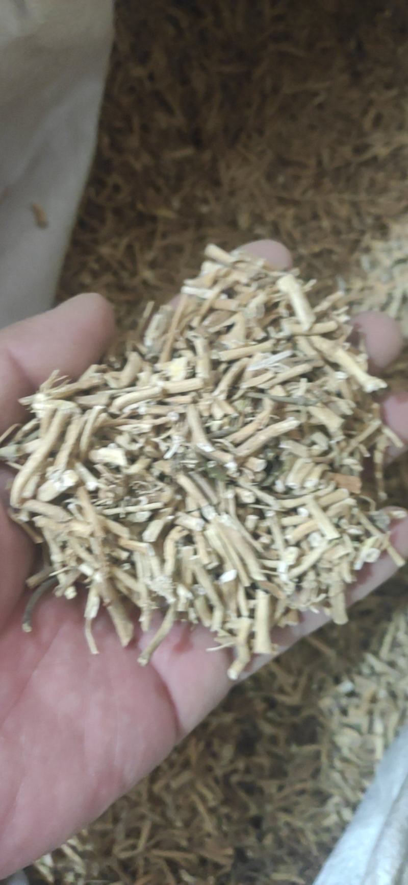白前干货干净无杂质量大从优欢迎选购！