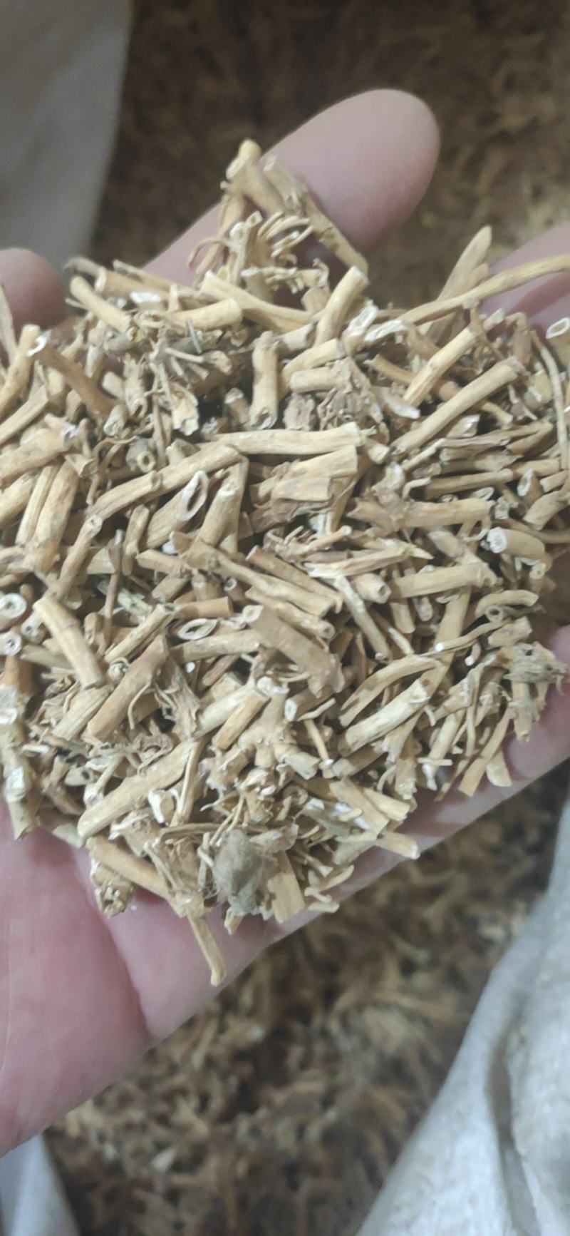 白前干货干净无杂质量大从优欢迎选购！