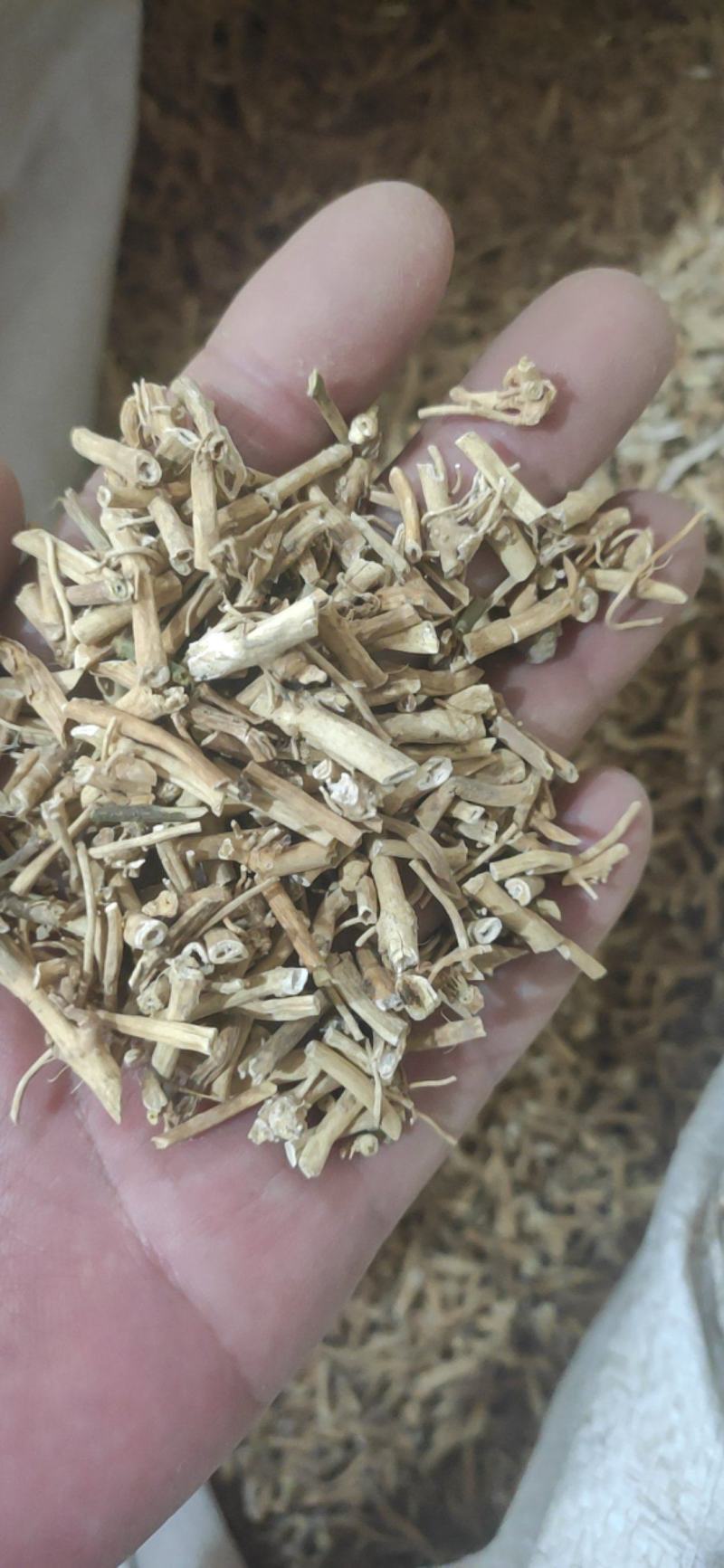 白前干货干净无杂质量大从优欢迎选购！