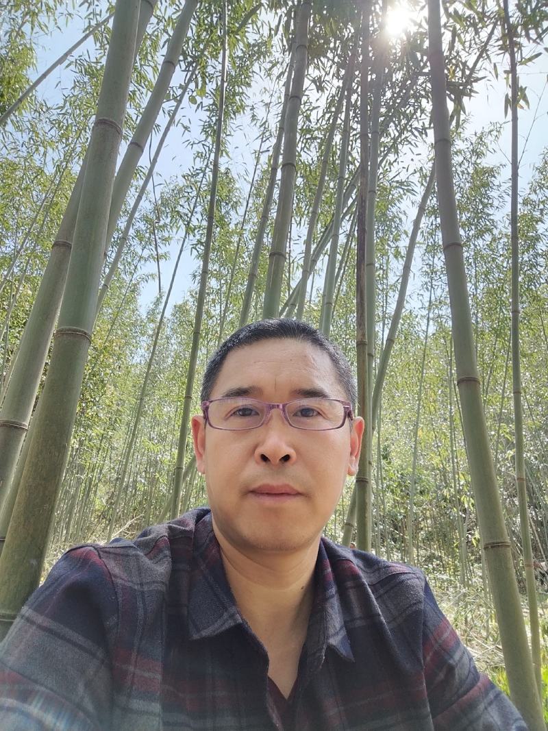 「好货」竹笋野山笋水竹笋支持一件代发量大从优