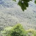 「好货」竹笋野山笋水竹笋支持一件代发量大从优