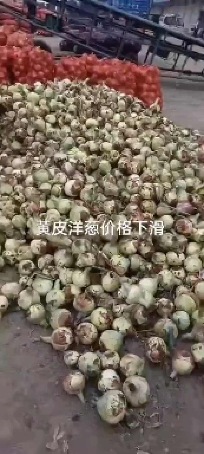 黄葱，产地直销，货源充足，质量很好，合作共赢