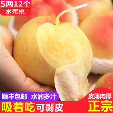 正宗新沂踢球山水蜜桃新鲜水果整箱当季礼盒装一件代发