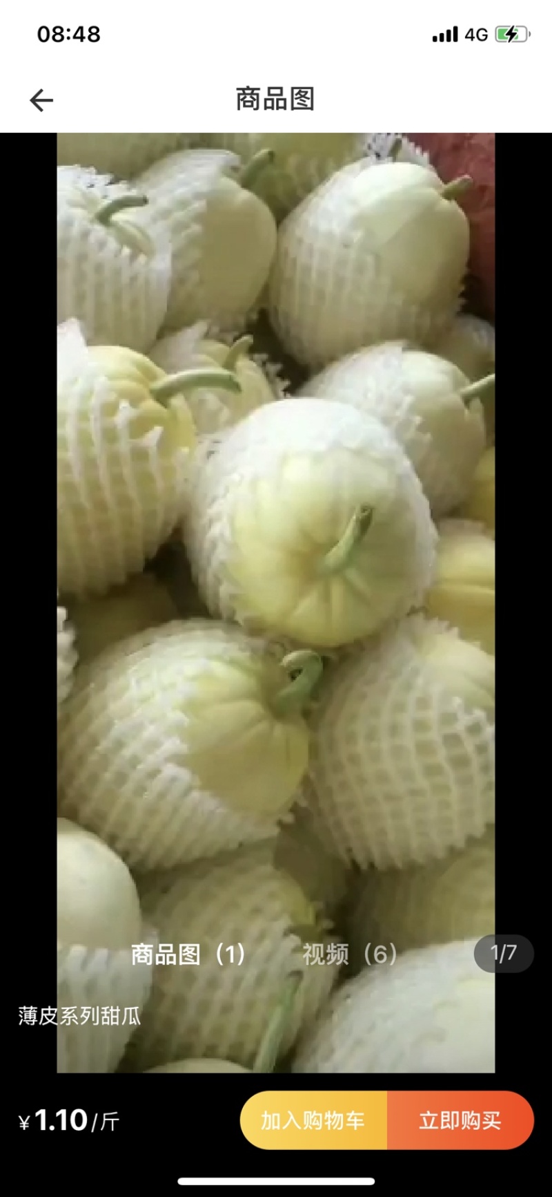 陕西渭南芝麻密大量上市货好价低关欢迎各位老板前来
