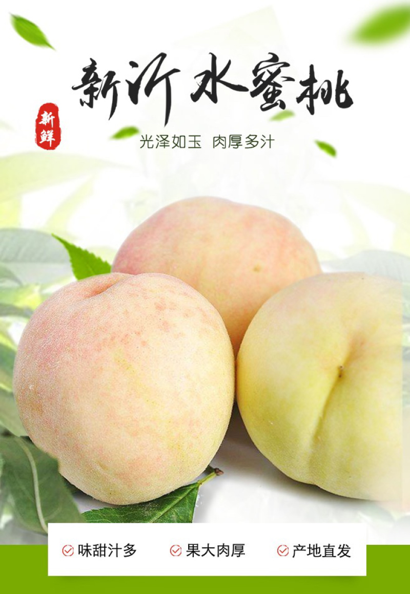 正宗新沂踢球山水蜜桃新鲜水果整箱当季礼盒装一件代发