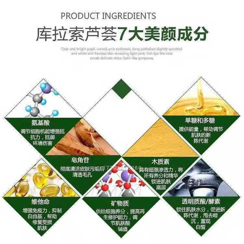 美容院库拉索芦荟苗盆栽多肉植物美容灌肤补水食用室内外花卉