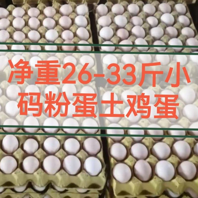 普粉小码26-33斤粉蛋土鸡蛋常年有货可提供发票提前订购
