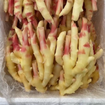 嫩姜