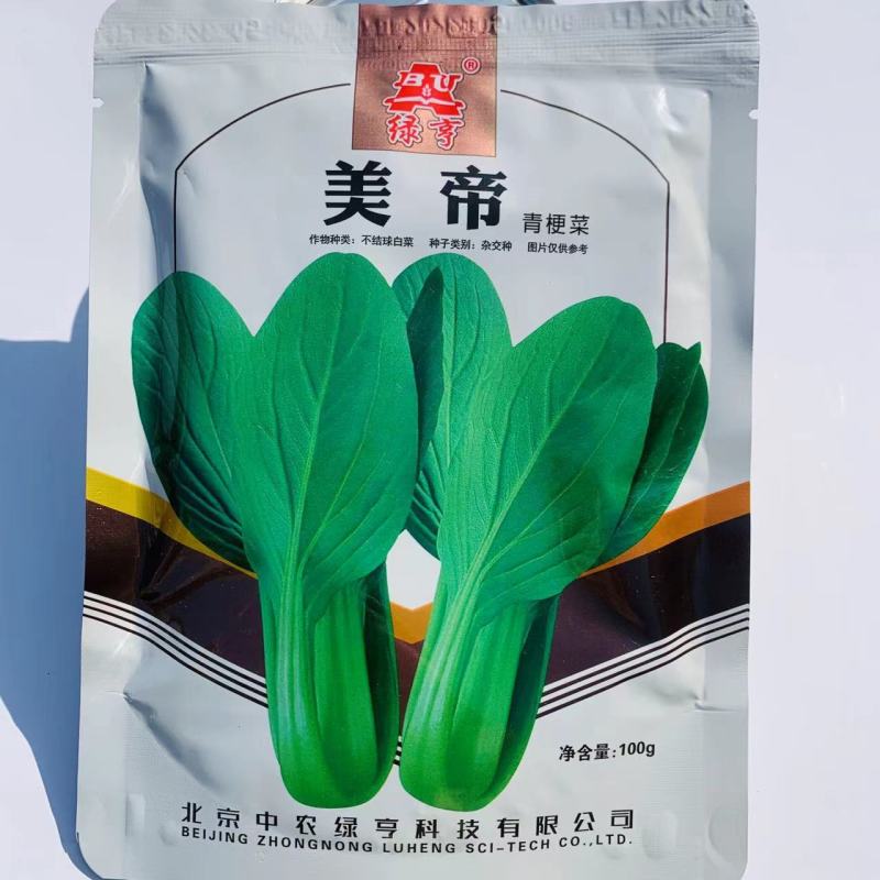 绿亨耐热青梗菜种子夏秋季耐湿小白菜种子叶色翠绿小青菜