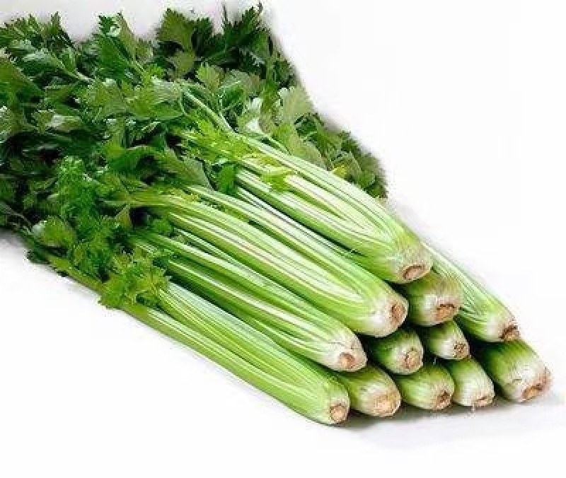 辽宁沈阳苦菊大量上市大朋货，在邯郸联邦物流园售卖