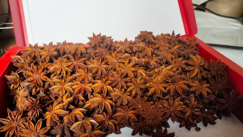 大红八角干新春花八角干枝八角碎八角全干无硫产地直发严选品