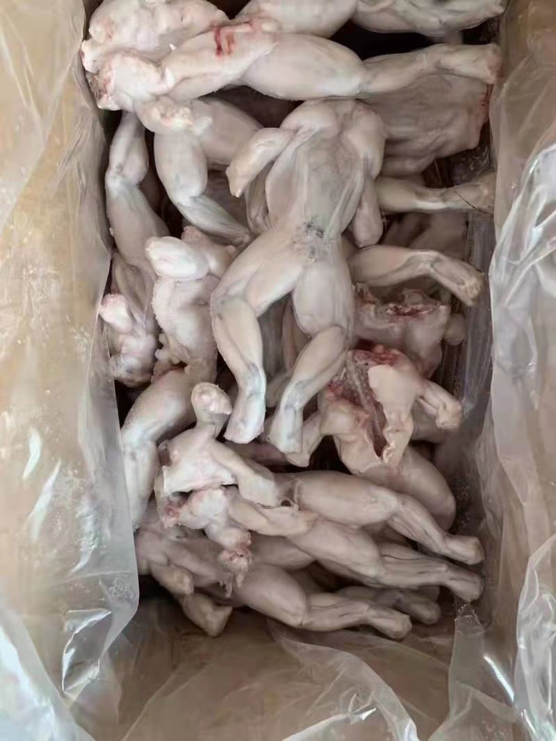 福建泉州熟虾牛蛙大量有货可视频看货量大从优