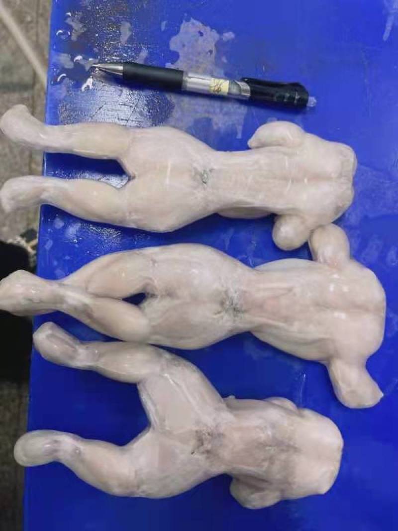 福建泉州熟虾牛蛙大量有货可视频看货量大从优