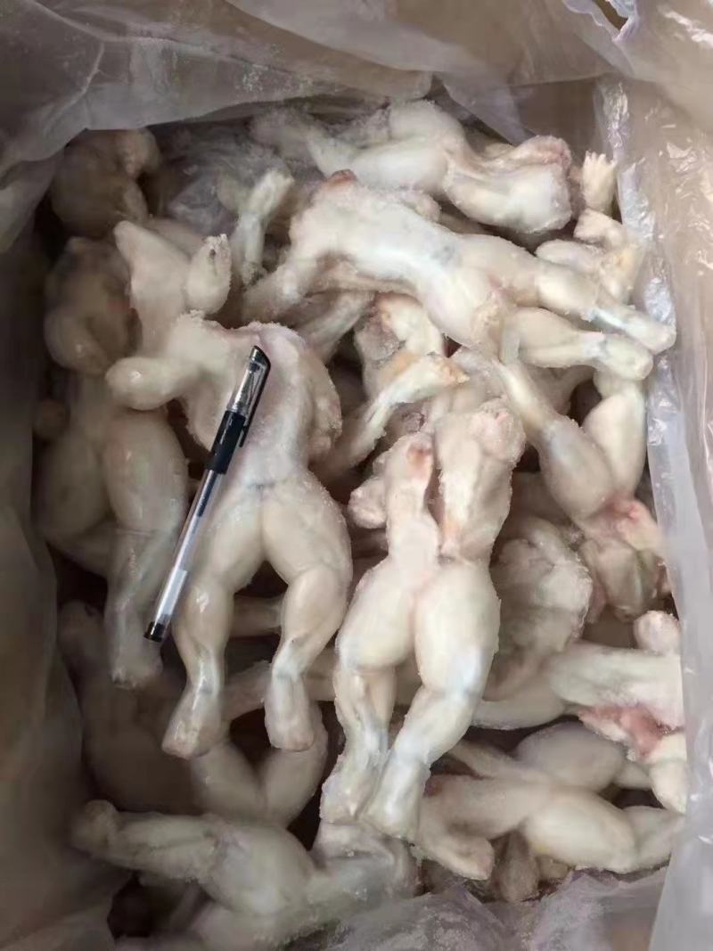 福建泉州熟虾牛蛙大量有货可视频看货量大从优