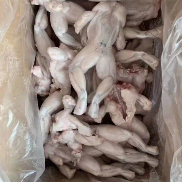 福建泉州熟虾牛蛙大量有货可视频看货量大从优