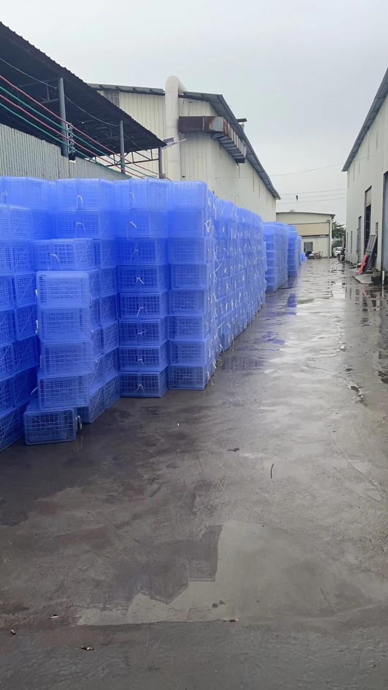 塑料荔枝筐
