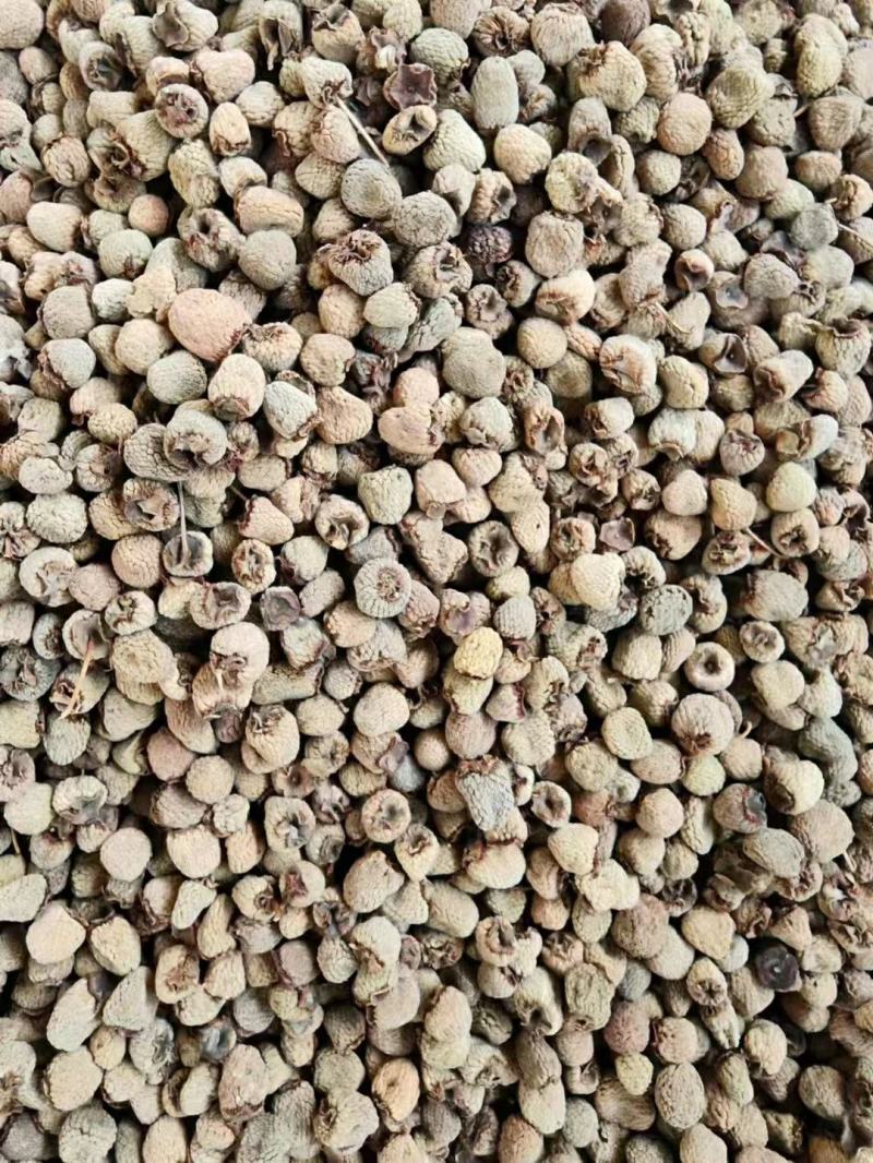 大瑶山高山优质掌叶覆盆子干货中药材大量供应，欢迎采购