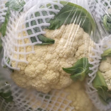 河南有机花菜，白！需要的联系！