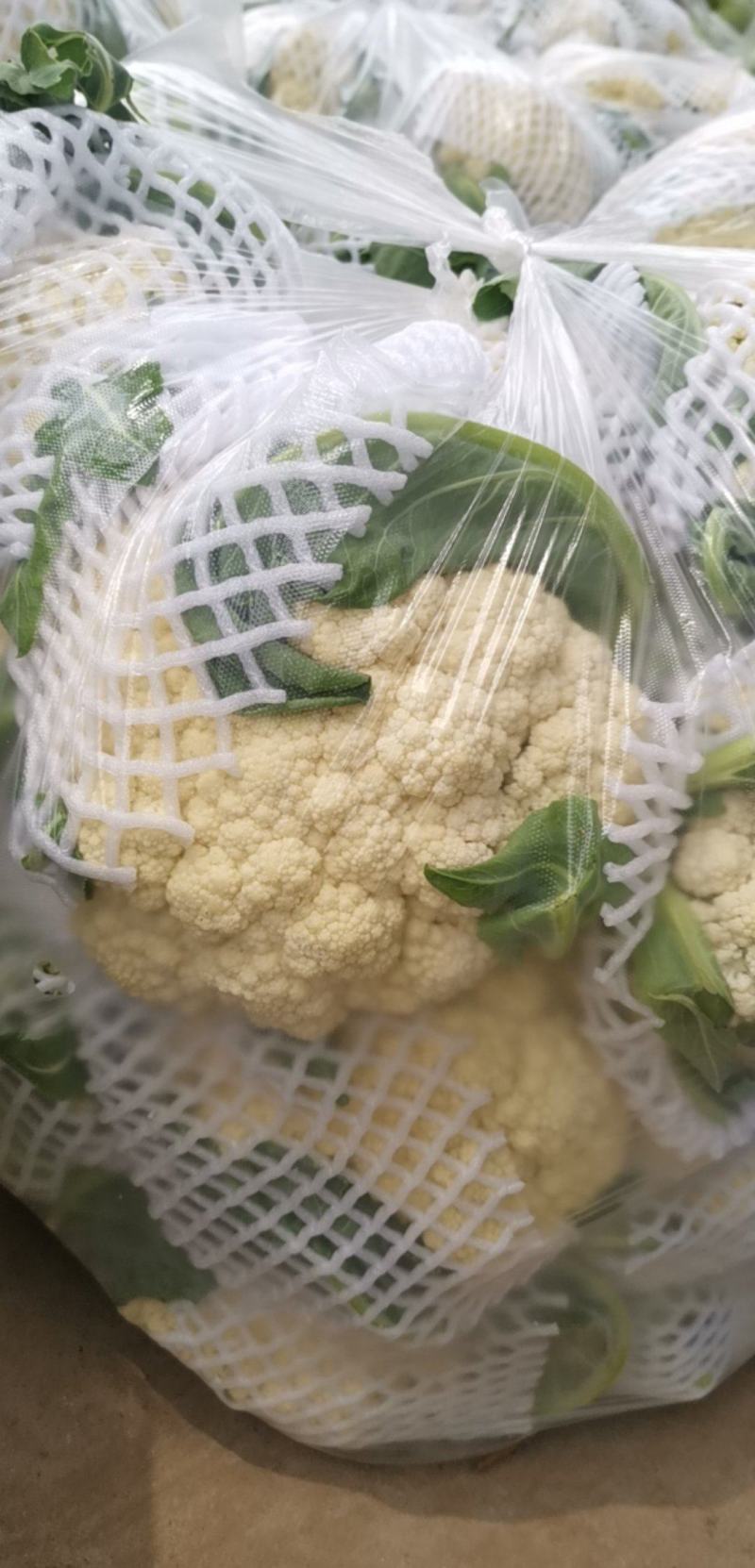 河南有机花菜，白！需要的联系！