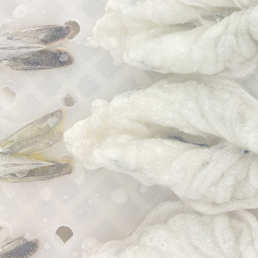 【蝴蝶虾仁】可定制,欢迎各位老板前来洽谈