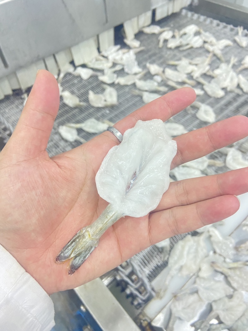 【蝴蝶虾仁】可定制，欢迎各位老板前来洽谈